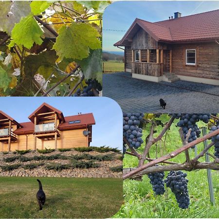 Fantastic View Vineyard Beskid Mountains Gruszow  Eksteriør bilde