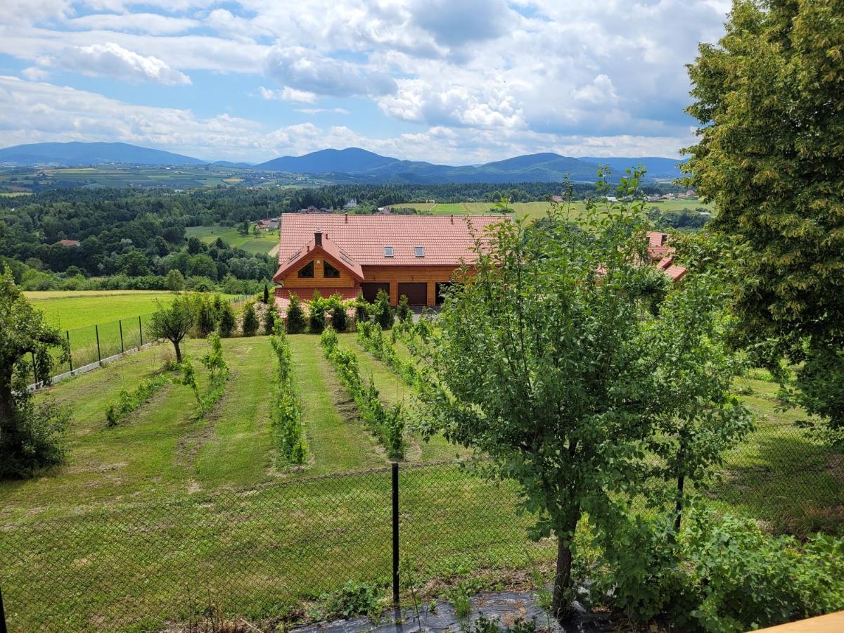 Fantastic View Vineyard Beskid Mountains Gruszow  Eksteriør bilde