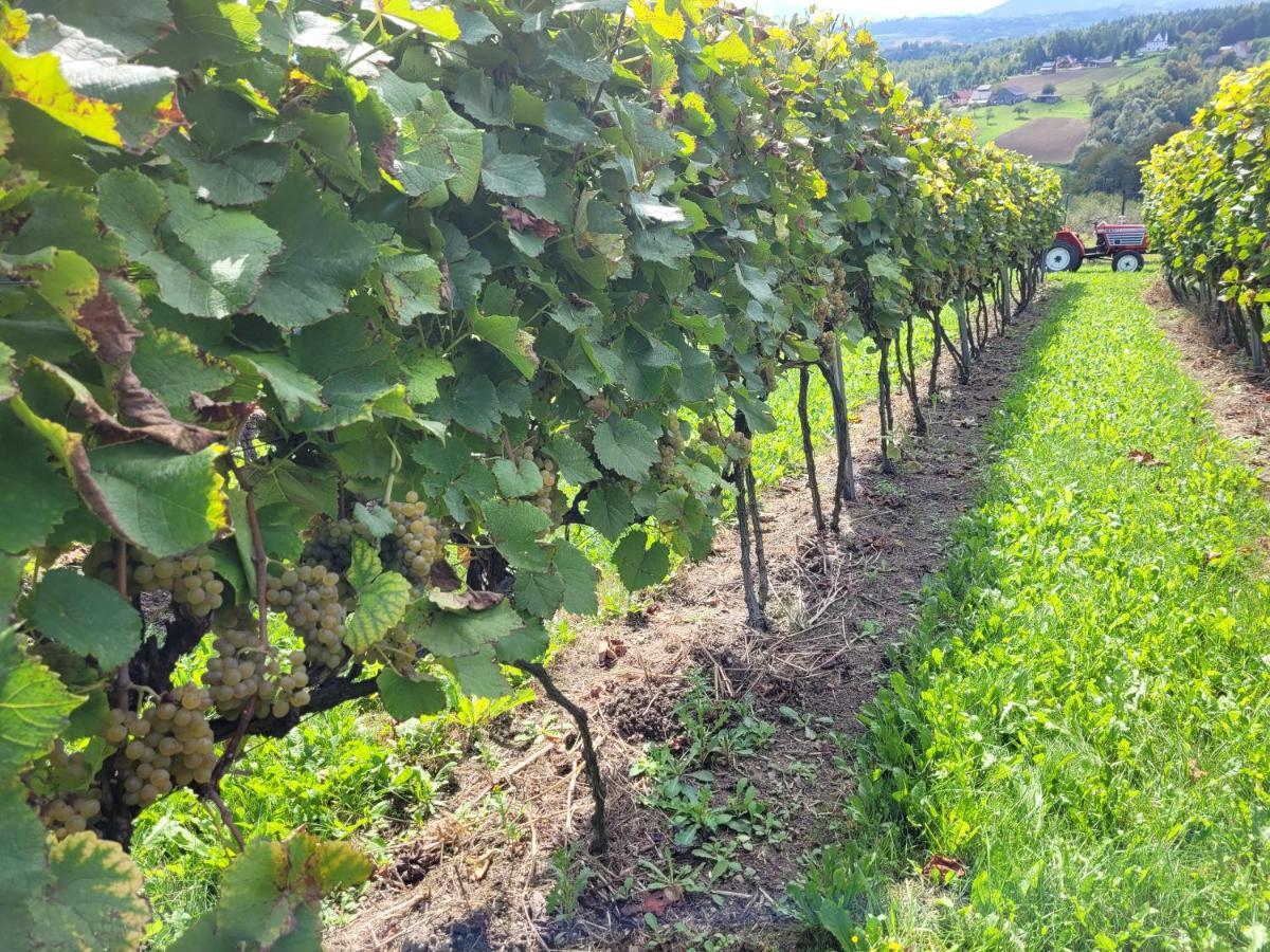 Fantastic View Vineyard Beskid Mountains Gruszow  Eksteriør bilde