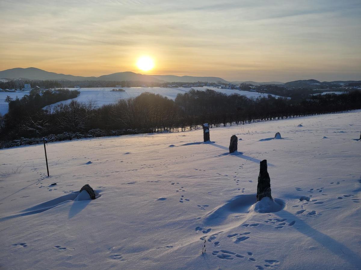 Fantastic View Vineyard Beskid Mountains Gruszow  Eksteriør bilde