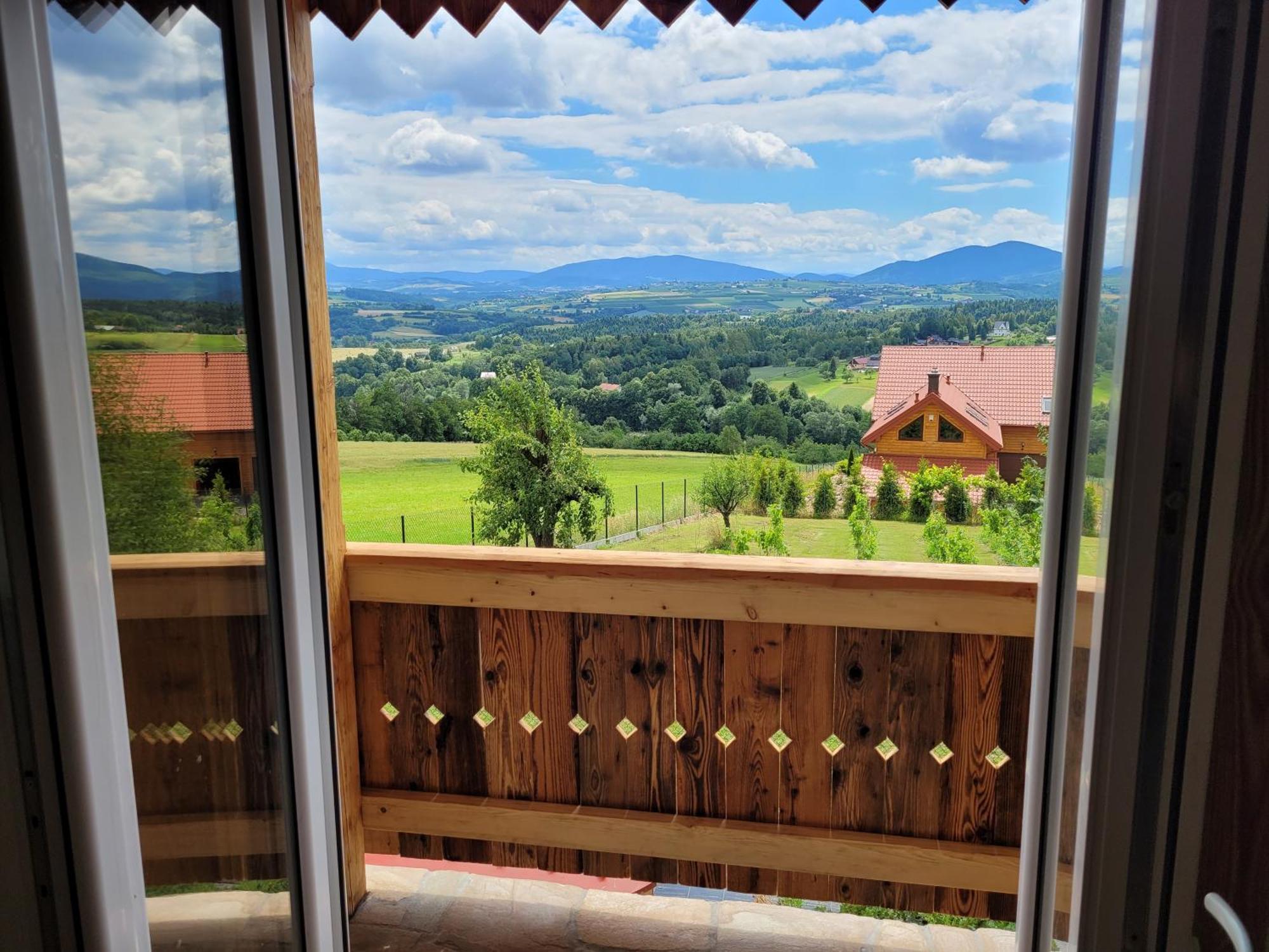 Fantastic View Vineyard Beskid Mountains Gruszow  Rom bilde