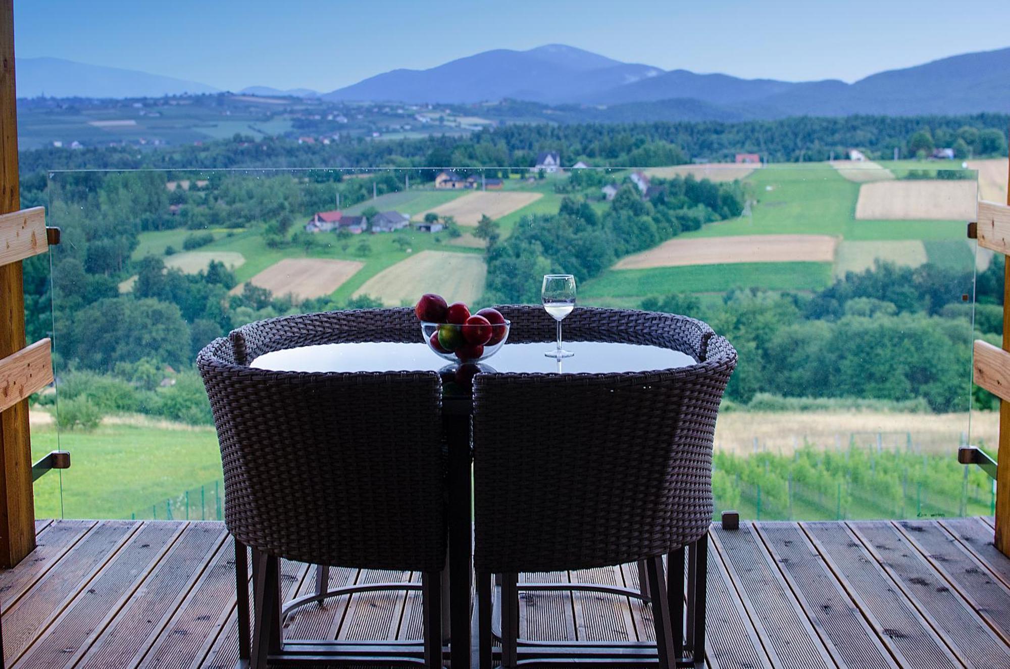 Fantastic View Vineyard Beskid Mountains Gruszow  Rom bilde